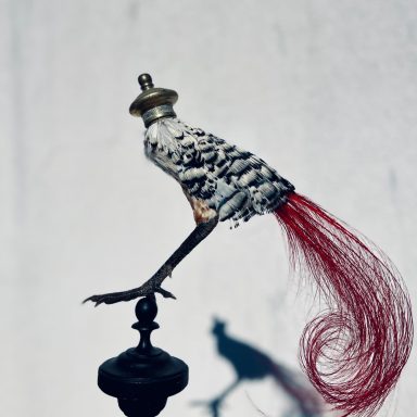 Cabinet de curiosité - Paradisier Oiseau coloré sur une patte avec une longue queue rouge, posé sur un support décoratif.